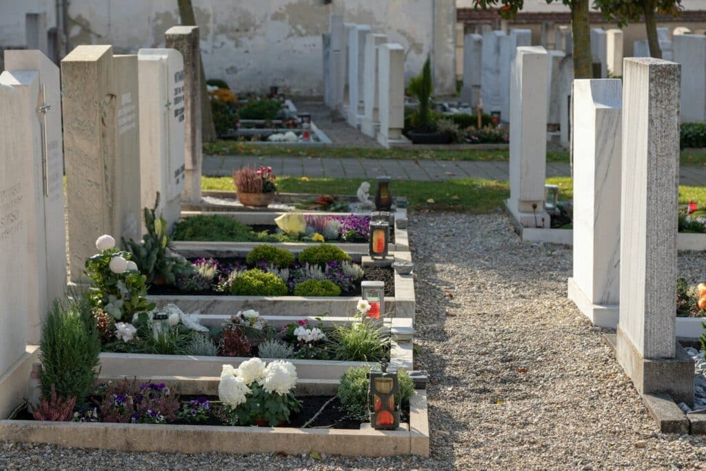 Current image: green and white flower garden