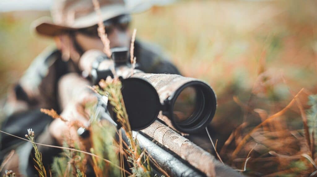 Current image: black and silver dslr camera on brown dried leaves