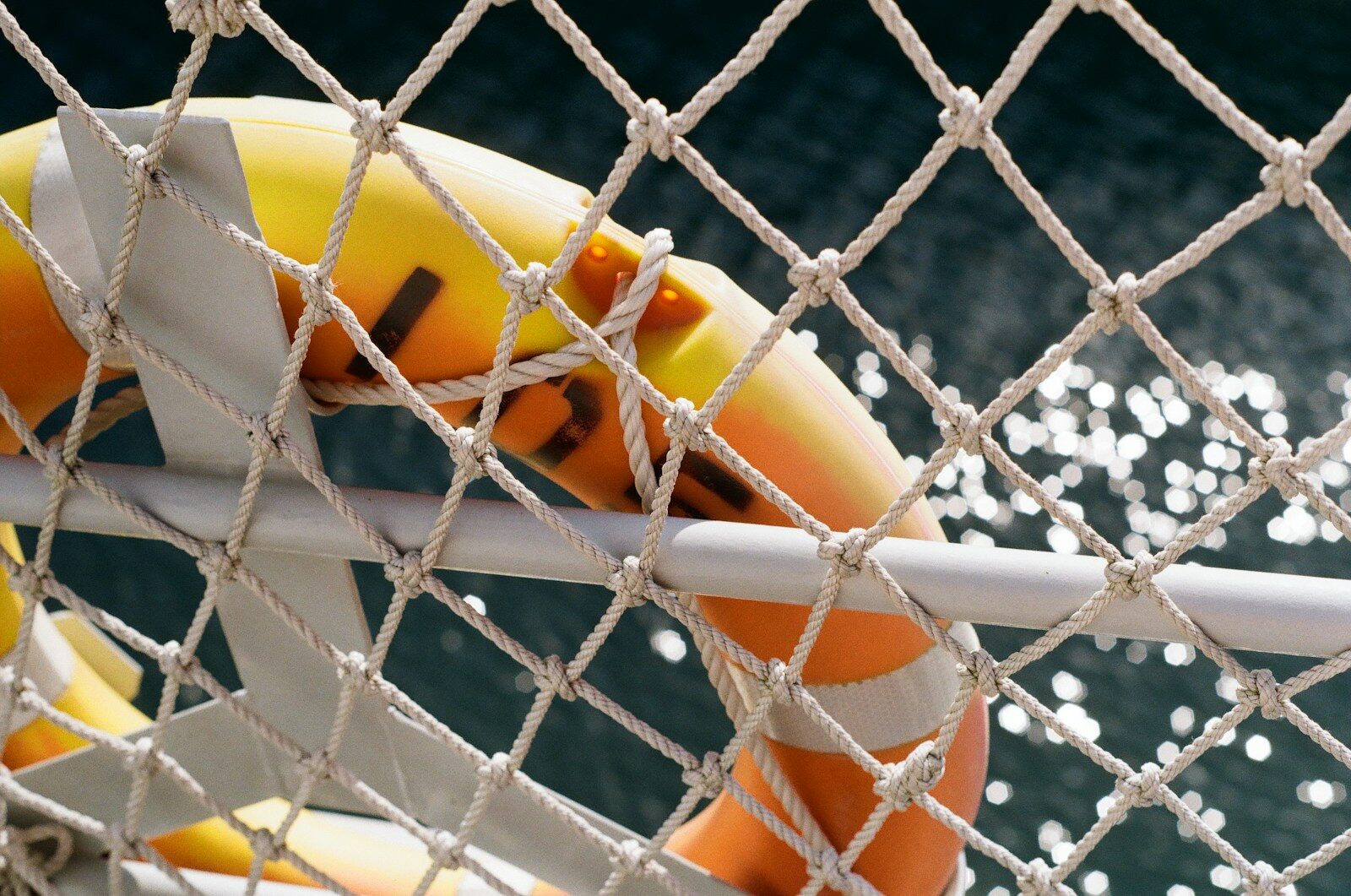 Life preserver on a boat railing with ocean background